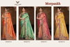 Mor Pankh By Zarkaashi Nylone Tissue Wedding Wear Saree Wholesale Price In Surat
